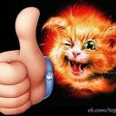 ���� ��������, ������, 53 ���� - ��������� 2 ������� 2019 � ������ ���� ����������