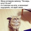 ���� ����, �����-���������, 64 ���� - ��������� 3 ������� 2019 � ������ ���� ����������
