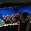 ���� �������, �������, 41 ��� - ��������� 11 ������� 2019 � ������ ���� ����������