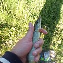 ���� ������, �����-���������, 43 ���� - ��������� 9 ���� 2019 � ������ ������ ��������