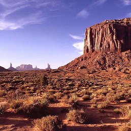 ����, ������, 39 ���