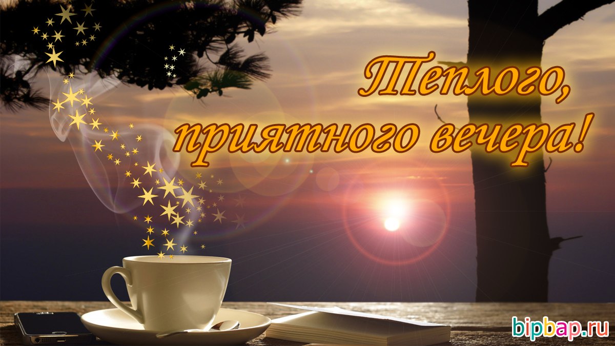 Lara - 14  2019  19:55