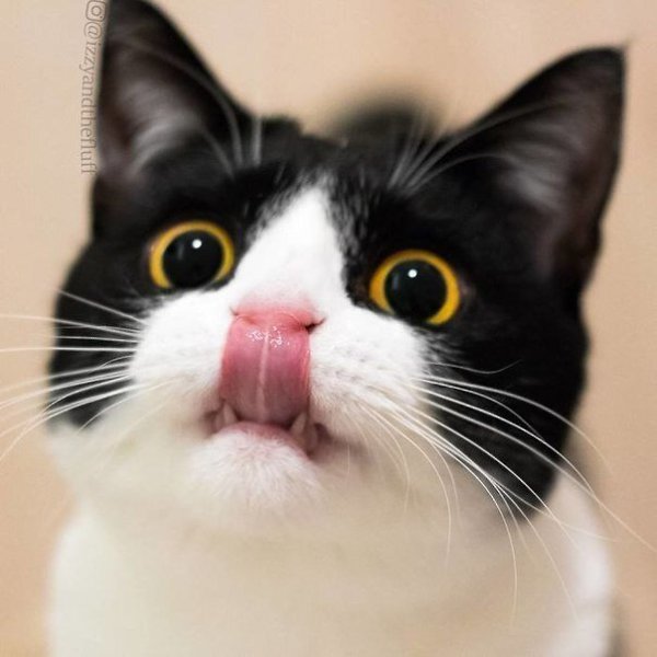         - 2