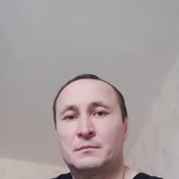 , , 51 