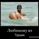 ���� �������, ����, 53 ���� - ��������� 14 ������� 2019 � ������ ���� ����������