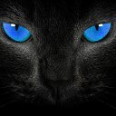 ���� Diva, ������, 74 ���� - ��������� 2 ���� 2019 � ������ ���� ����������