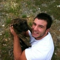 ���������, ���������, 41 ���