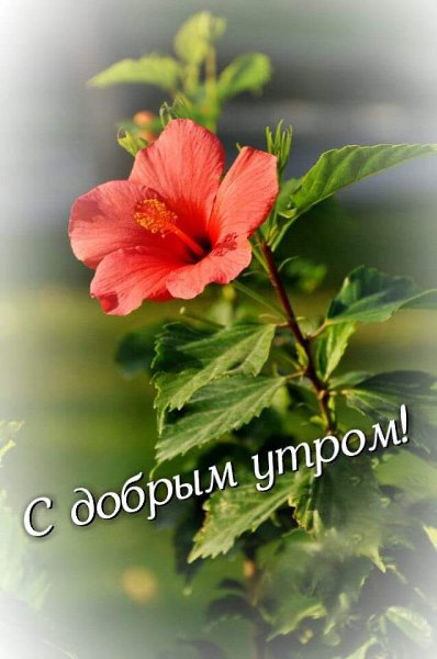   ,    . - 30  2019  23:47