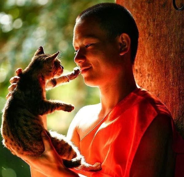 Много слышали о пользе медитации.и хотите попробовать? Mind Detox – это бесплатный курс по медитации ...