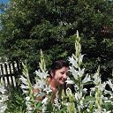 ��� ����� � ���� ������ ��������... �� ������� ���������� ������