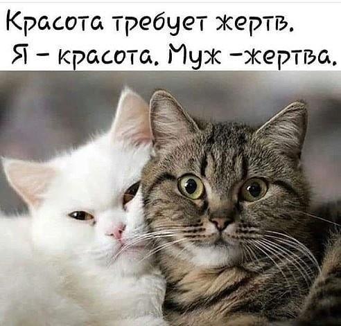 )))
