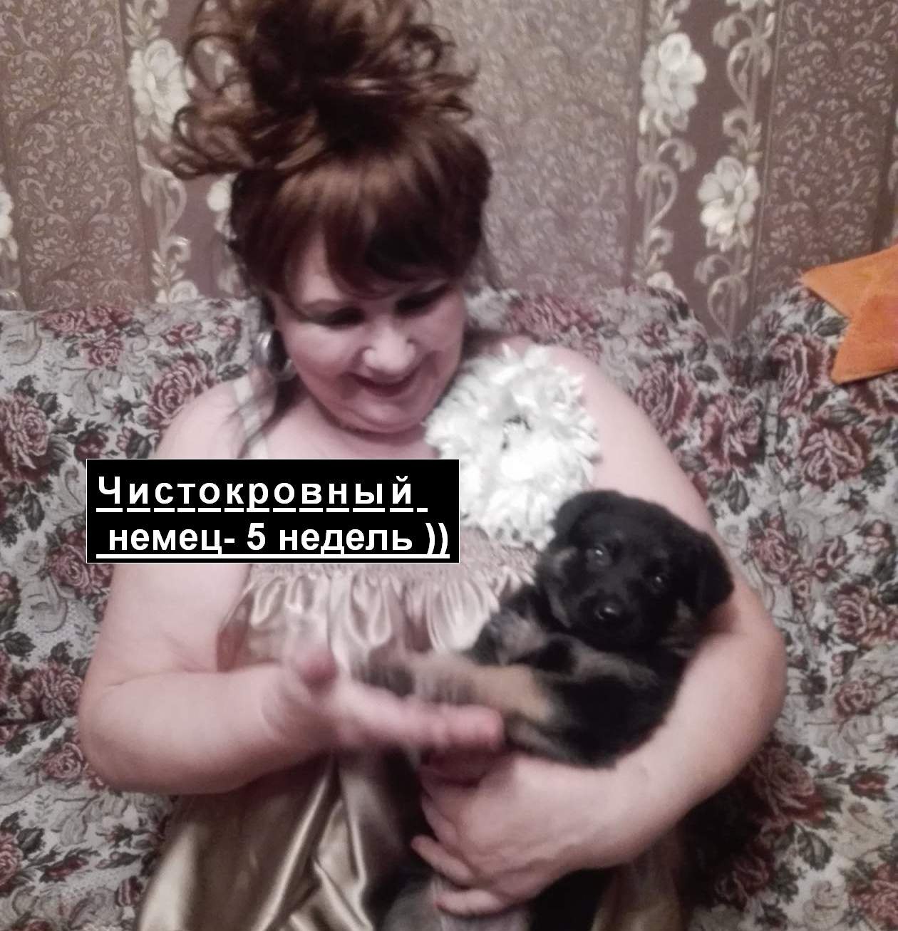    ))) - 2  2019  23:06