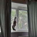 ���� �������! �� ������� ���� ����������