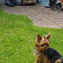 ���� Zavinta Harrinton, ������ - ��������� 9 ��� 2019 � ������ ���� ����������