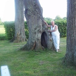 ���� �������, �����, 73 ���� - ��������� 16 ������ 2019