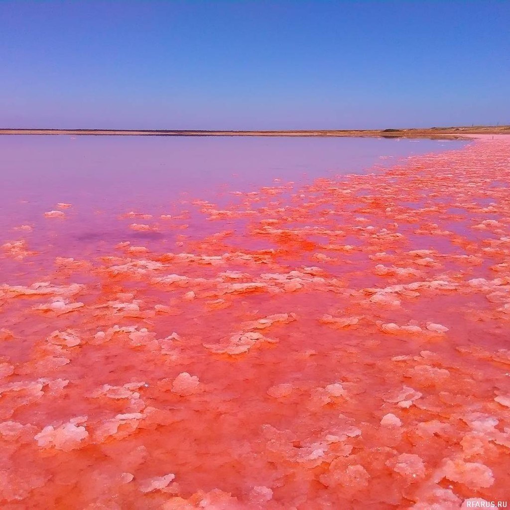 цвет красного моря