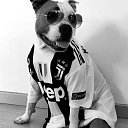 ���� �����, ������, 37 ��� - ��������� 14 ������� 2019 � ������ ���� ����������