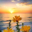 ���� Xxx, ������ - ��������� 15 ���� 2019 � ������ ���� ����������