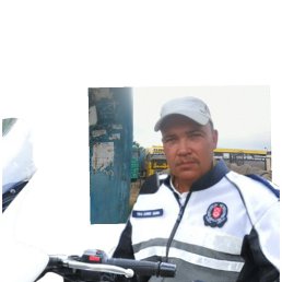 ������, ����-�����������, 59 ���