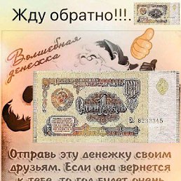 ���� �������, ������-��-����, 54 ���� - ��������� 5 ������� 2019