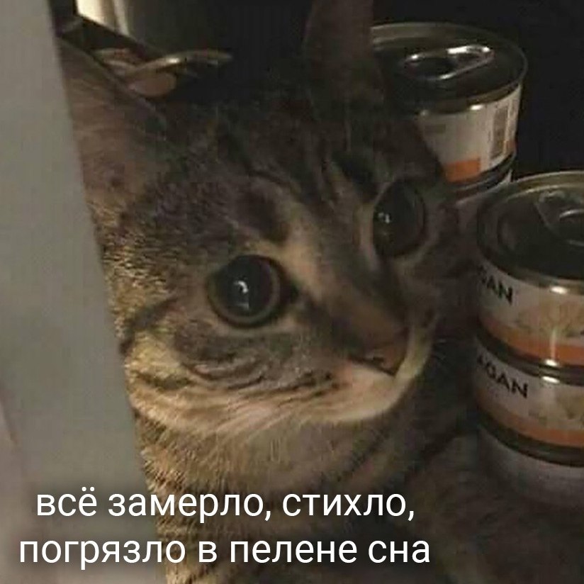  - - 2