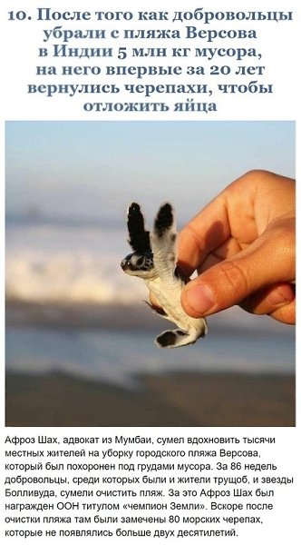 Примеры в борьбе за чистоту планеты, которые вдохновляют - 10