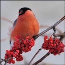 ���� ����, ����� - ��������� 7 ������ 2019 � ������ ���� ����������