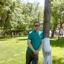 ����, ������, 40 ���