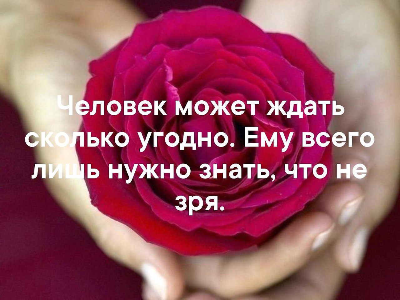    - 21  2019  03:40