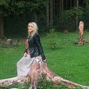 ���� �������, ������, 46 ��� - ��������� 18 ������� 2019 � ������ ���� ����������