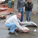 ����� �� ������� ���� ����������