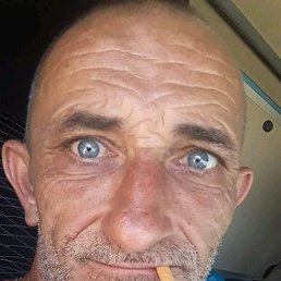 �������, �����, 54 ����