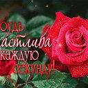 ���� �������, ���������� - ��������� 1 ���� 2019 � ������ ������ ��������