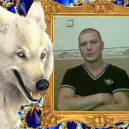 ��������, ����, 44 ����