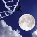 ���� ��������, ����, 43 ���� - ��������� 3 ���� 2019 � ������ �������������������