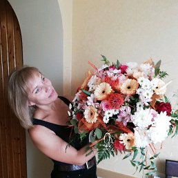 ���� ���, �������, 44 ���� - ��������� 2 ������� 2019