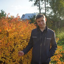 �������, �����, 45 ���