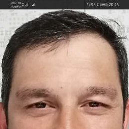 ��������, ��������, 40 ���