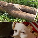 ���� ���������, �����������, 55 ��� - ��������� 15 ������� 2019 � ������ ���� ����������