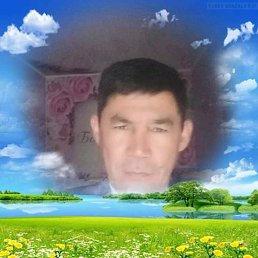 ������, �����, 53 ����