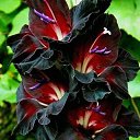 ���� ������, ������ - ��������� 27 ������� 2019 � ������ ������ ��������