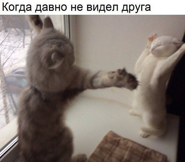    - 27  2019  19:19