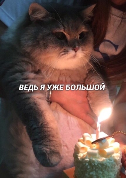 -- - 2