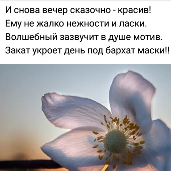   ,    . - 15  2019  19:43 - 2