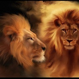 Yura, ���������, 53 ����