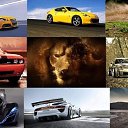 ���� ����, �����, 29 ��� - ��������� 1 ��� 2019 � ������ ���� ����������