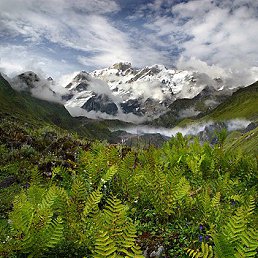 �������, ������, 56 ���