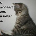 ���� �, �����������, 43 ���� - ��������� 10 ������� 2019 � ������ ���� ����������