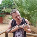 ���� �������, �����-���������, 49 ��� - ��������� 4 �������� 2019 � ������ ���� ����������