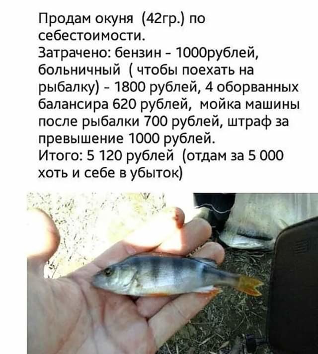 ***Victoria Viktorovna*** - 7  2019  20:35